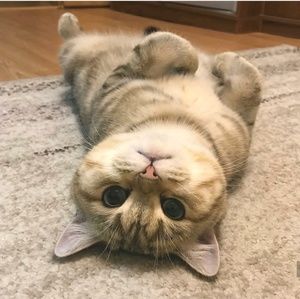 Meet your Posher, Lynn